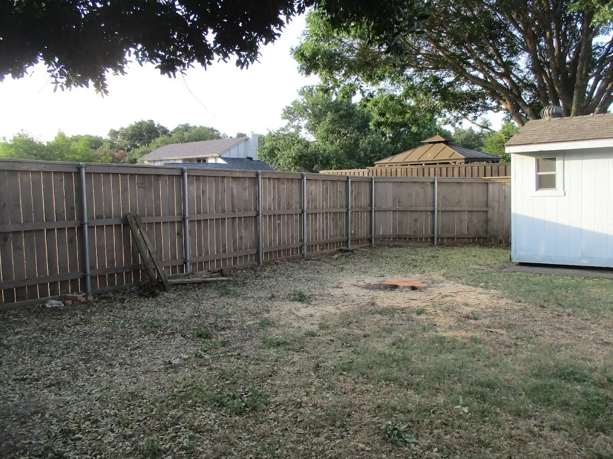 Cleared yard after professional tree removal in Hutchinson