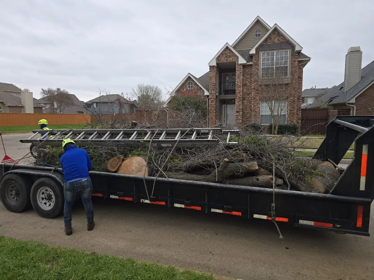 Expert Tree Pest Control with proper safety equipment in Hutchinson